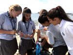 Honors biology students from Fontbonne Hall Academy collecting water samples